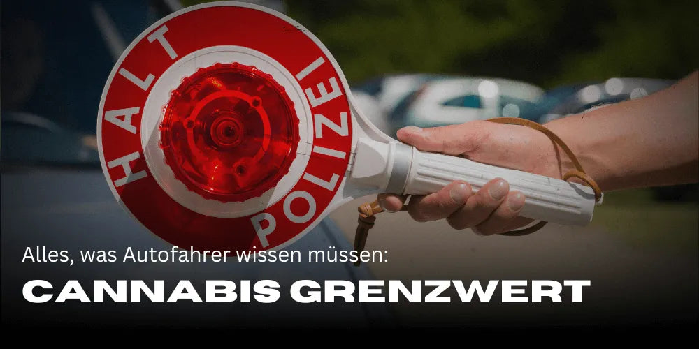 Límite de THC en Alemania: Todo lo que los conductores deben saber-Smagro GmbH