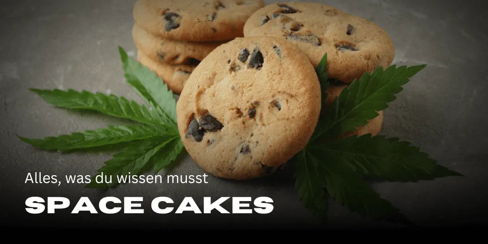 Space Cakes: Alles wat je moet weten