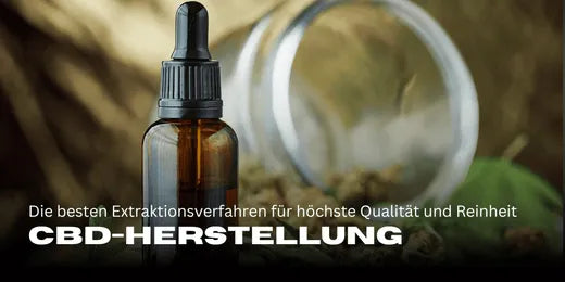 Producción de CBD. Aceite de CBD en primer plano