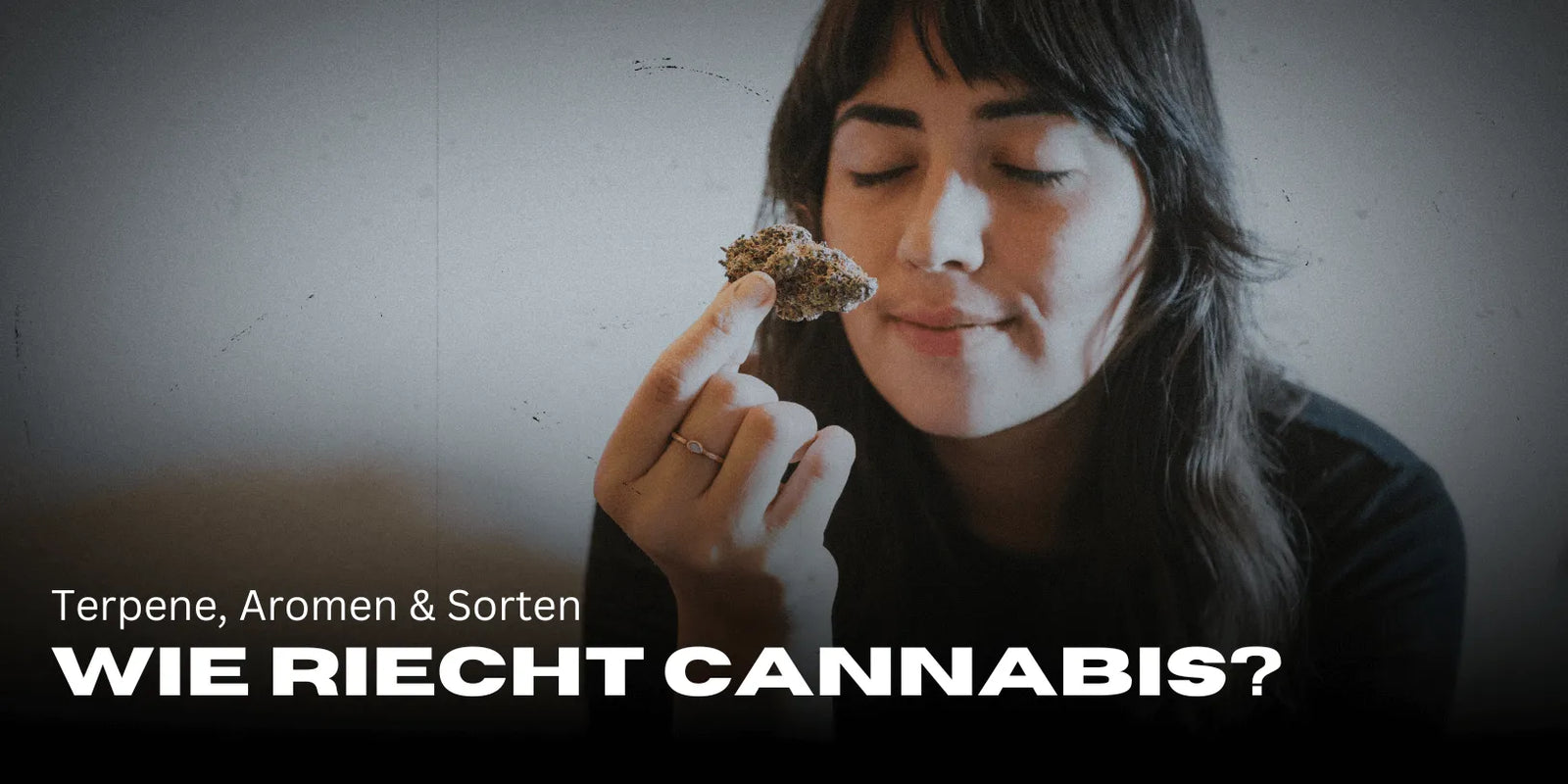 Hoe ruikt cannabis? Terpenen, aroma’s & soorten 🌿-Smagro GmbH