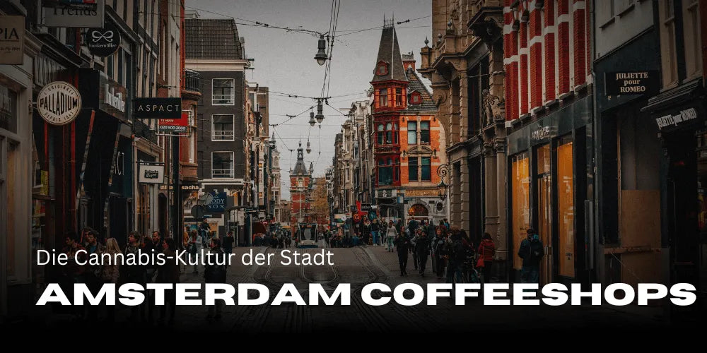 Coffeeshop-urile din Amsterdam: cultura canabisului din oraș