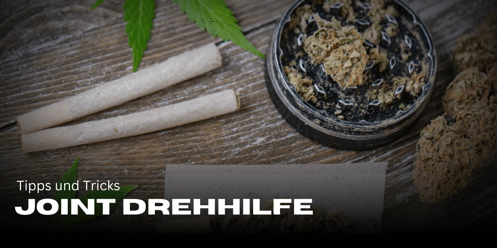 Joint forgatósegéd