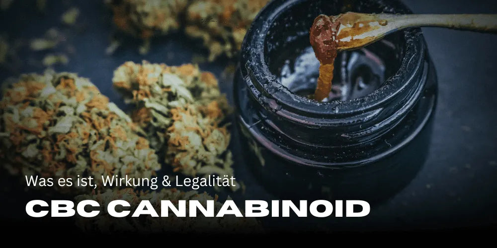 Cannabinoide CBC: Qué es, efectos y legalidad