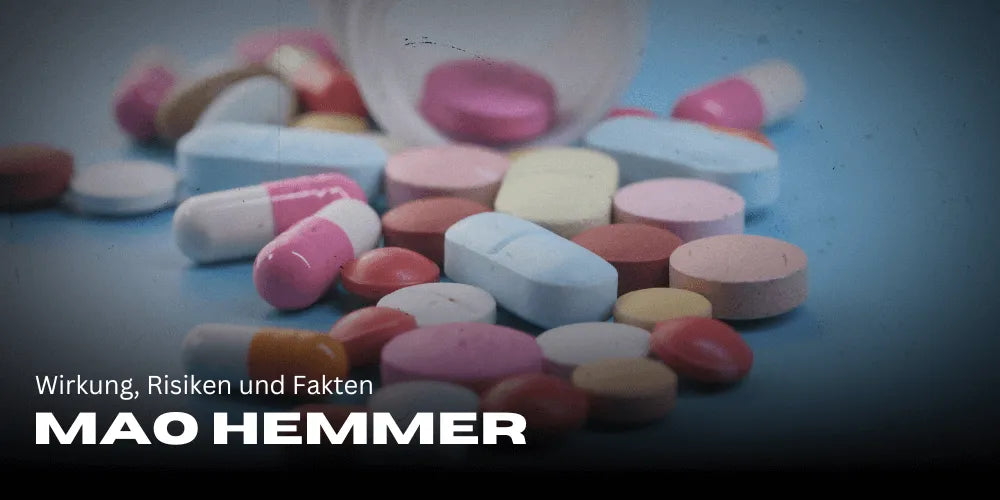 Mao Hemmer : effets, risques et faits dans le lexique des drogues