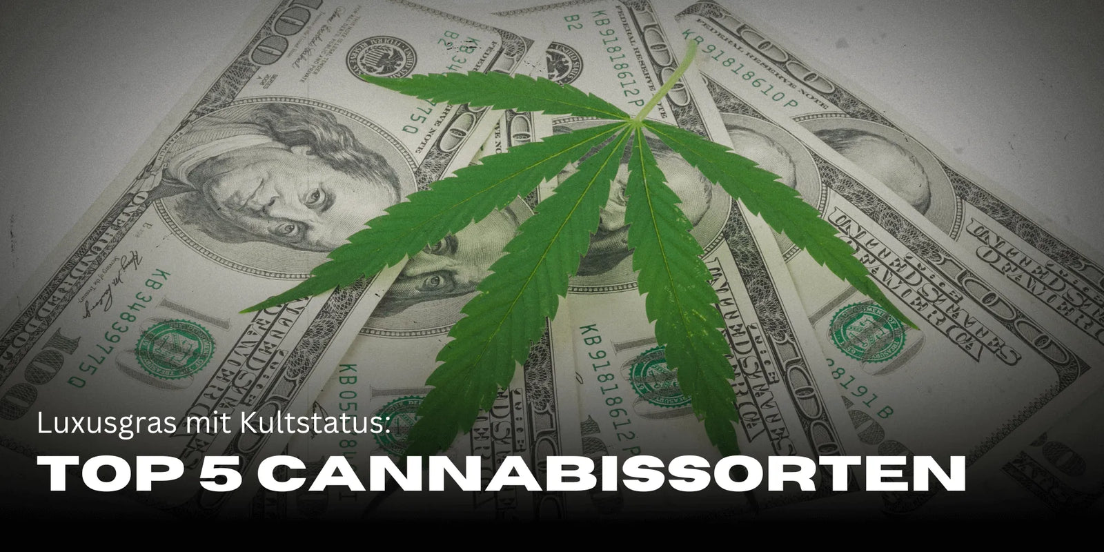 De duurste Cannabissorten