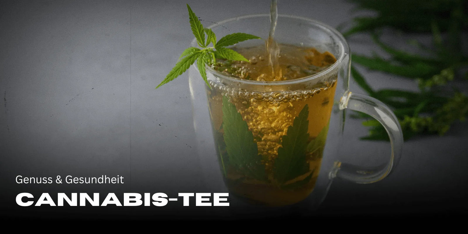 Té de cannabis: placer y salud en una taza