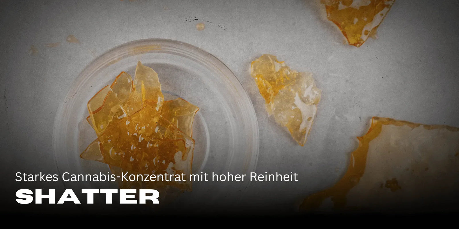 Shatter : Concentré de Cannabis puissant avec une grande pureté - Smagro GmbH
