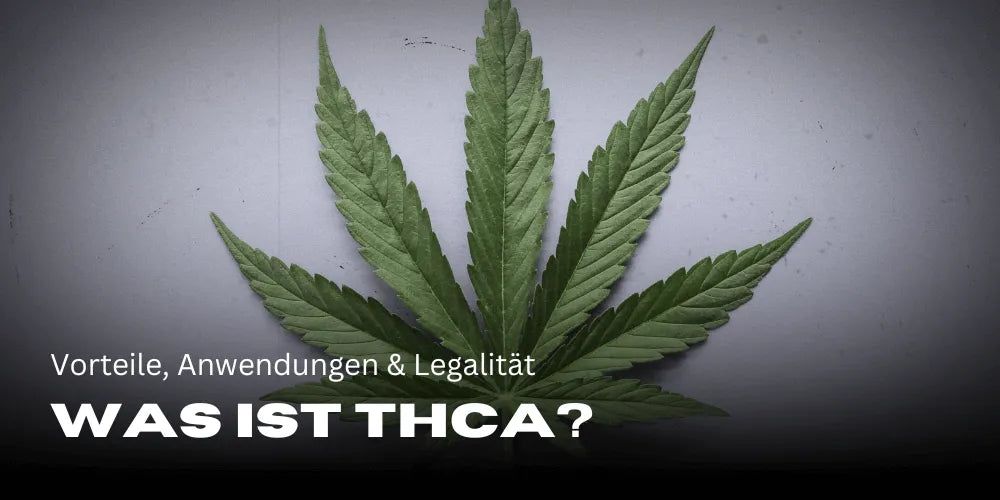 Wat is THCA? – Voordelen, toepassingen & legaliteit