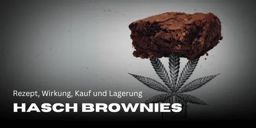 Recept, Effecten, Aankoop en Bewaring van Hasj Brownies
