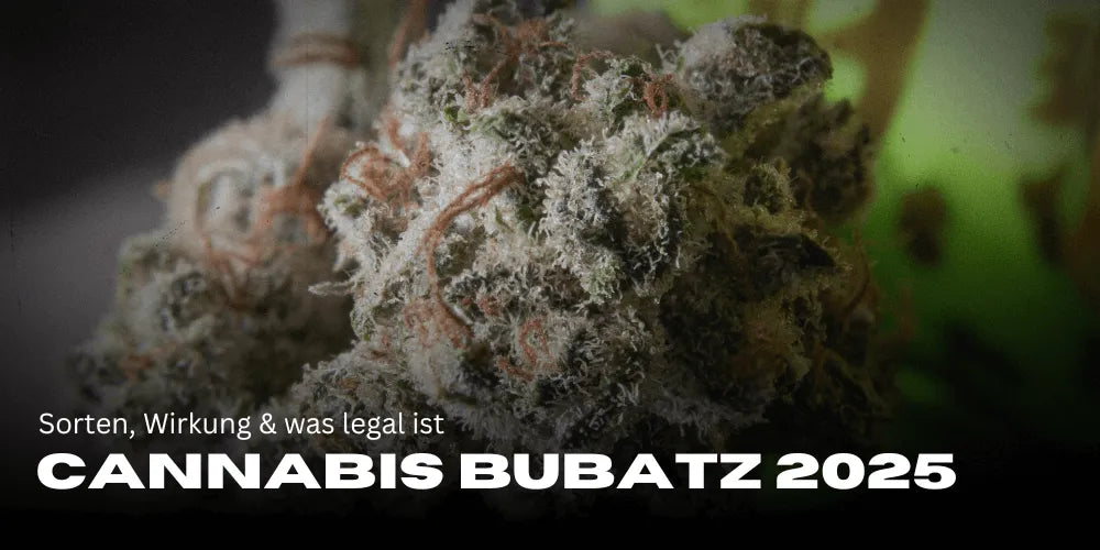 Cannabis Bubatz 2025 : Strains, effets & ce qui est légal