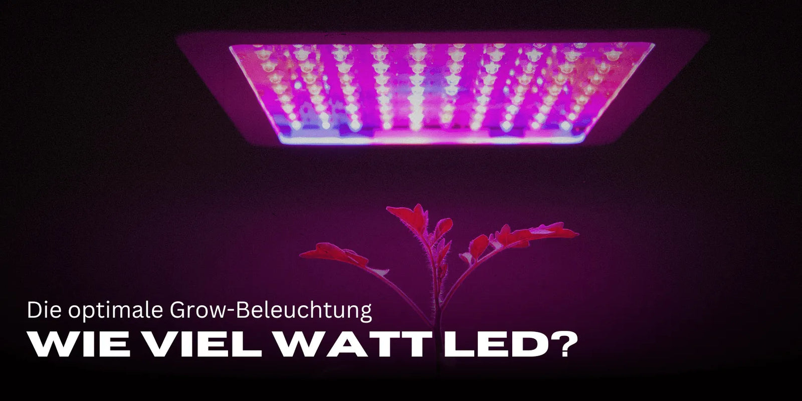 Hoeveel watt LED per m²?