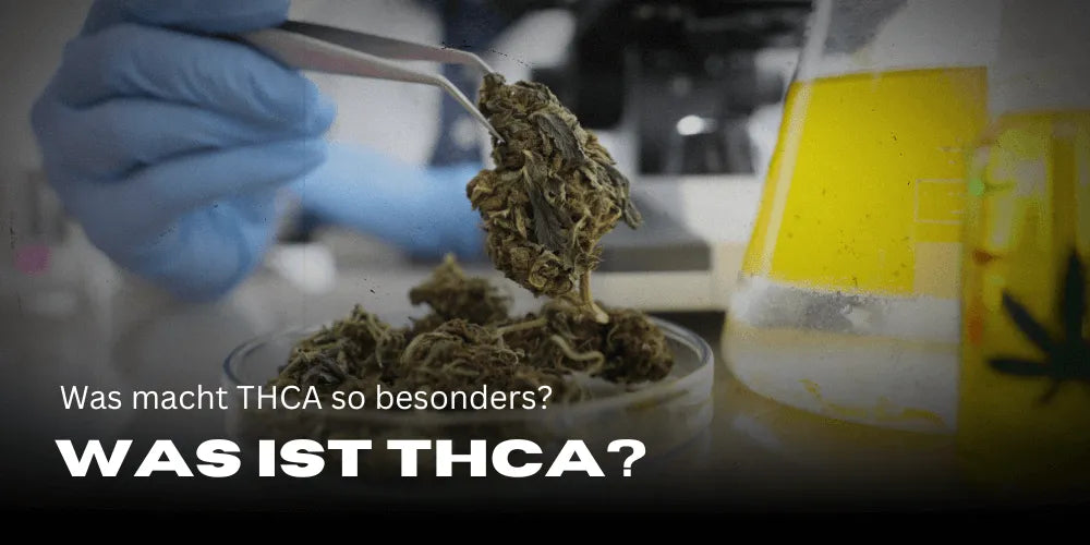 Wat is THCA en wat maakt het zo bijzonder?