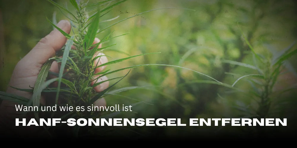 Hennep-zonnescherm verwijderen: Wanneer en hoe het zinvol is-Smagro GmbH