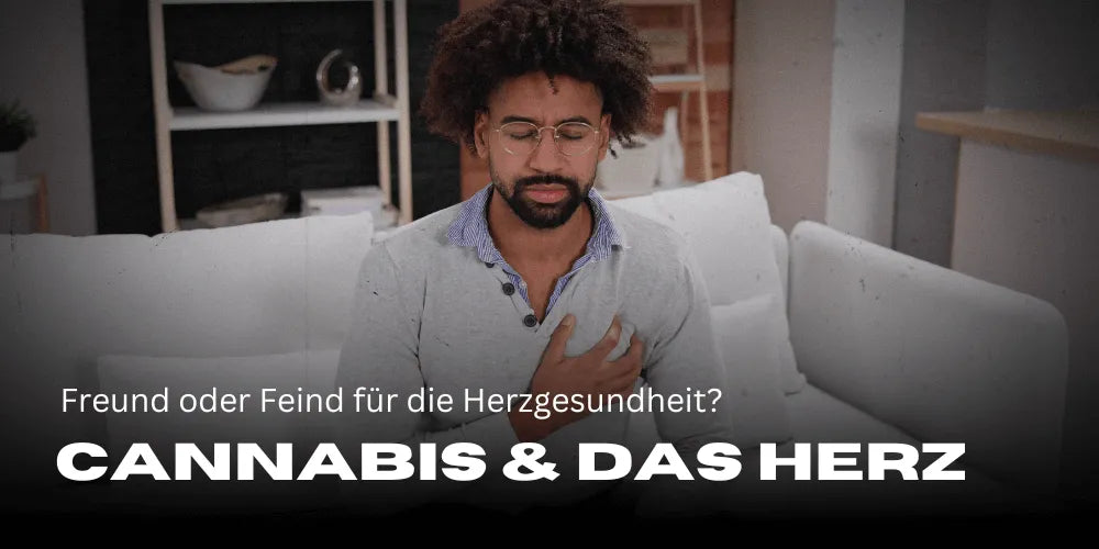 Cannabis y el corazón: ¿amigo o enemigo para la salud cardíaca?