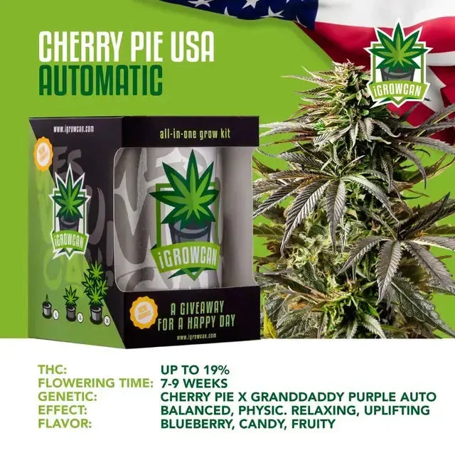 Kompletny zestaw do uprawy: Cherry Pie USA (iGrowCan)