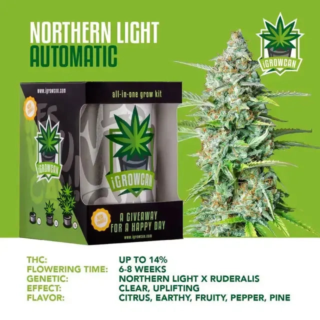 Kompletny zestaw do uprawy: Northern Light Auto (iGrowCan)