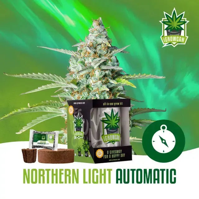 Kompletny zestaw do uprawy: Northern Light Auto (iGrowCan)