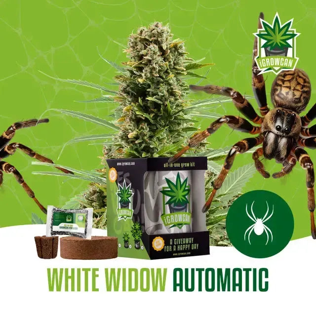 Kompletny zestaw do uprawy: White Widow Auto (iGrowCan)