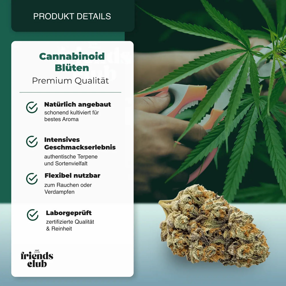 PHC Bloemen Lemon Cookies - hhcfriends