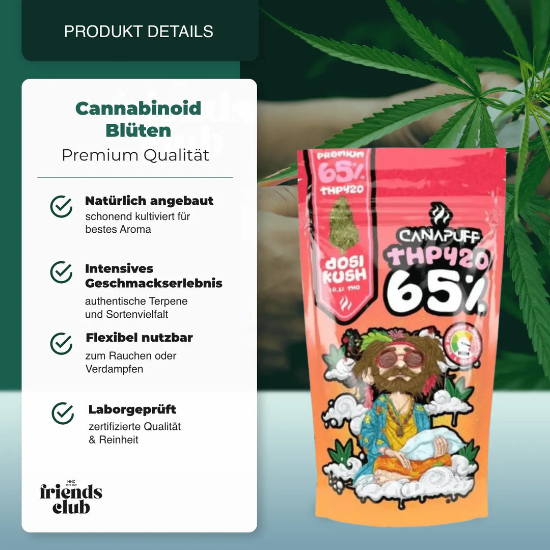 THP420 Virágok Dosi Kush 65% Canapuff - hhcfriends