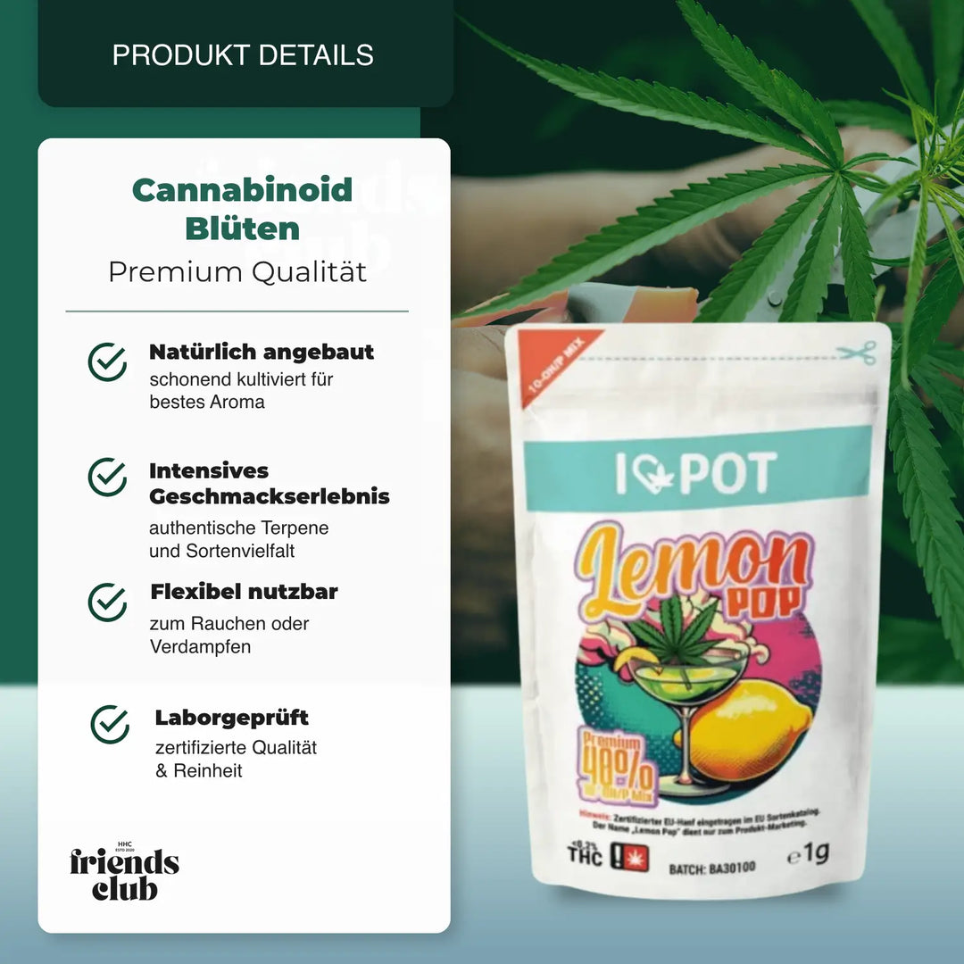 10-OH-Mix Fleurs Lemon Pop - hhcfriends