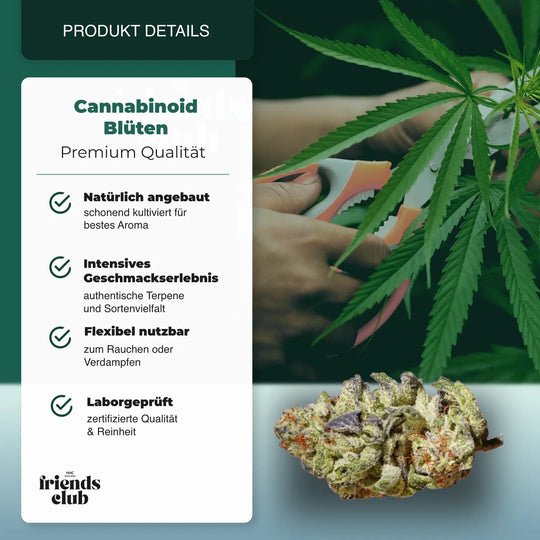 CBD Flowers Purple Haze 1g - hhcfriends