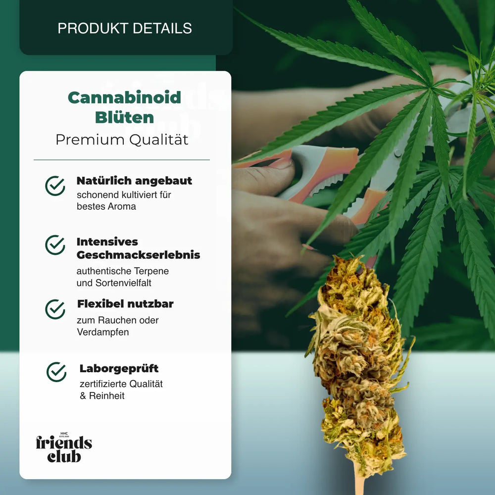 PHC Bloemen V1 25% - hhcfriends