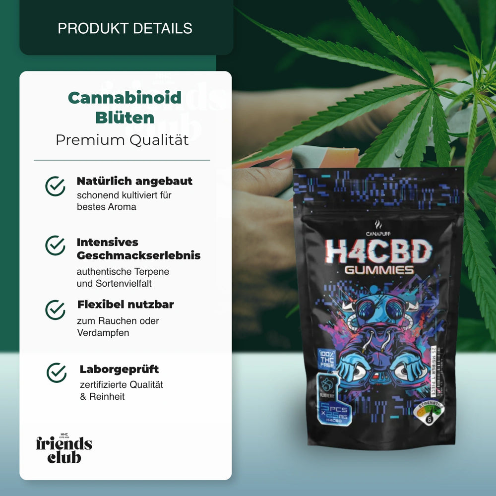 Gummie H4CBD - Myrtille - hhcfriends