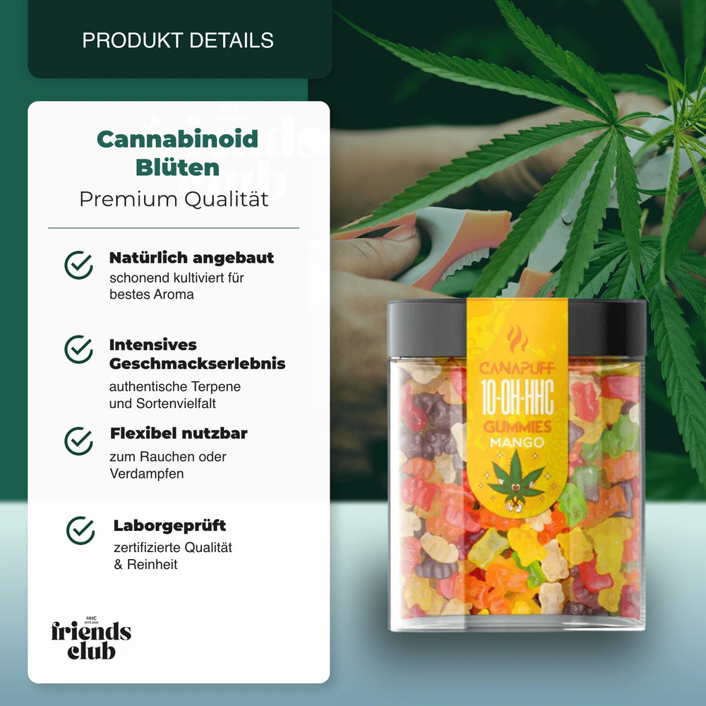 10-OH Gummies Mango 10 piezas - hhcfriends