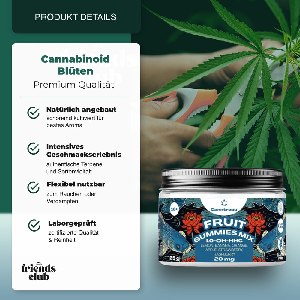 10-OH Gummies mix de fructe 10 bucăți - hhcfriends