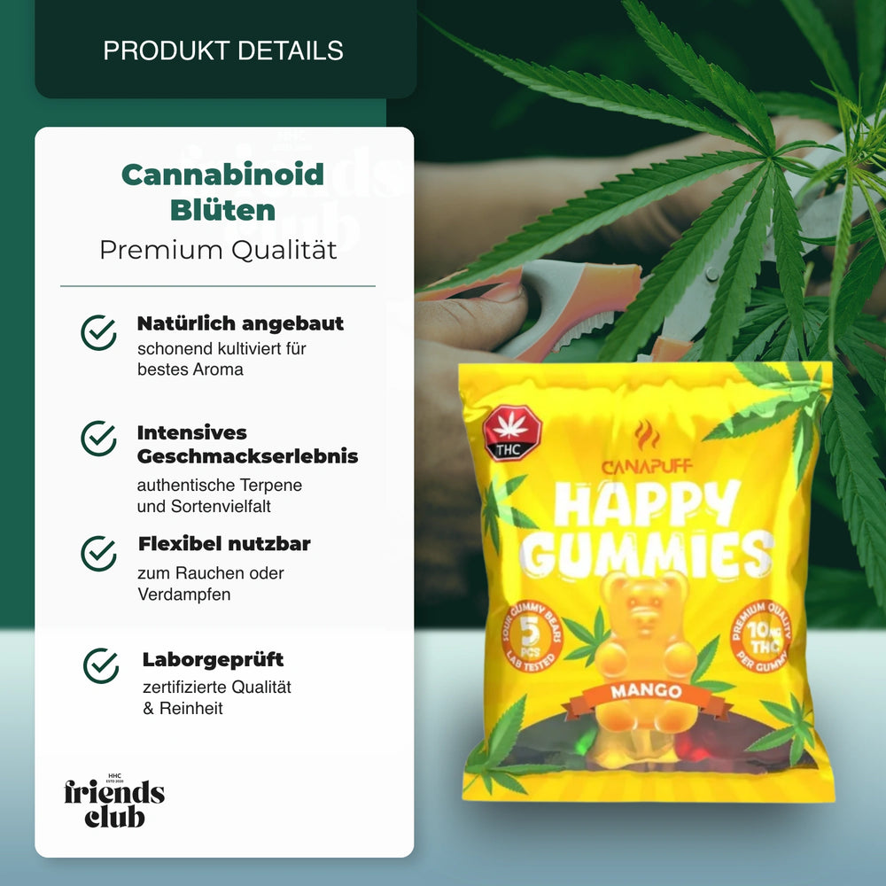 THC Gumicukrok - Mangó (5 darab) - hhcfriends