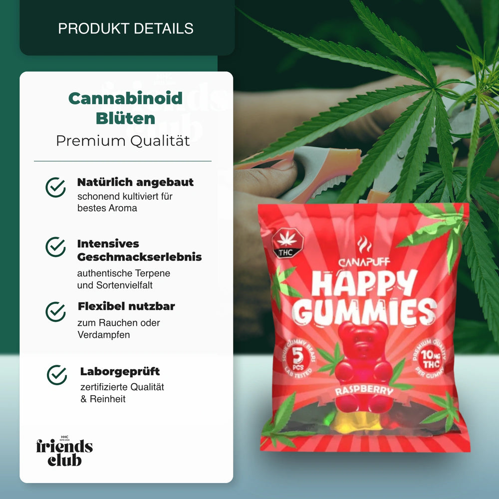 THC Gummies - Raspberry (5 pieces) - hhcfreinds