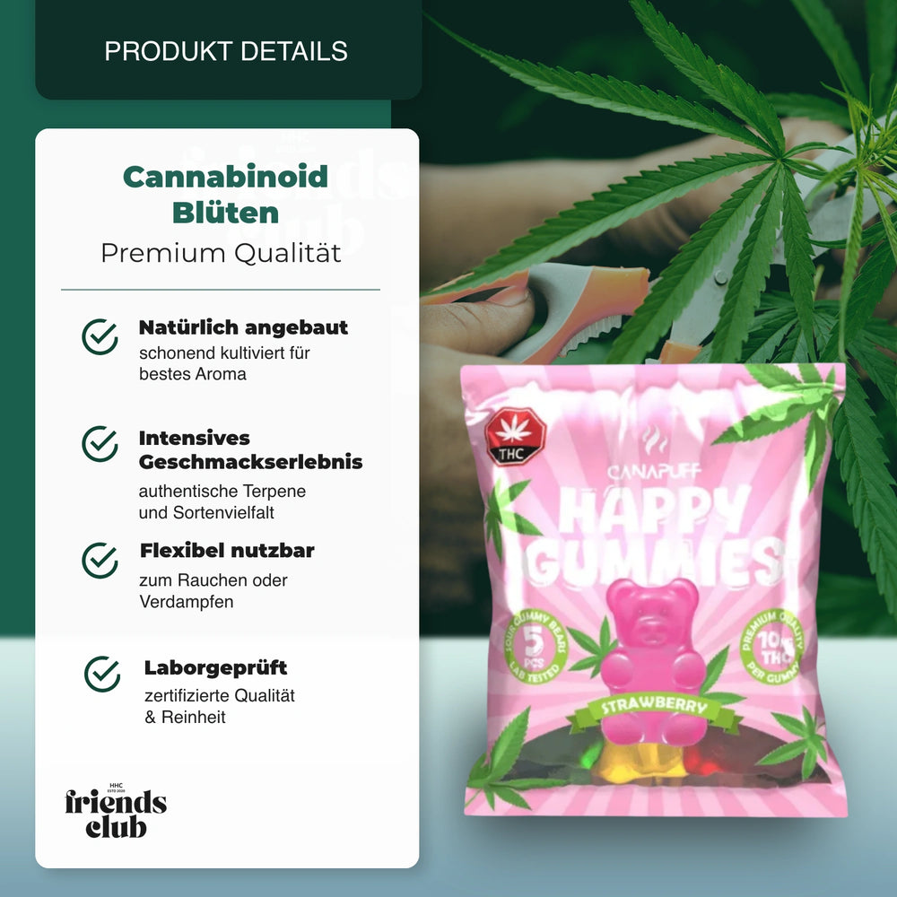 THC Gummies - Strawberry (5 pieces) - hhcfriends
