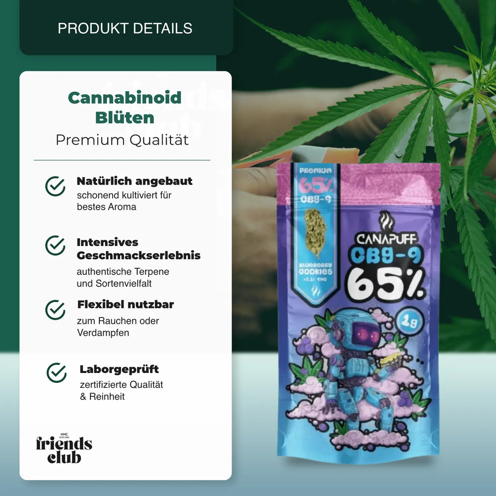 CBG9 Flower Blueberry Cookie 65% - hhcfriends