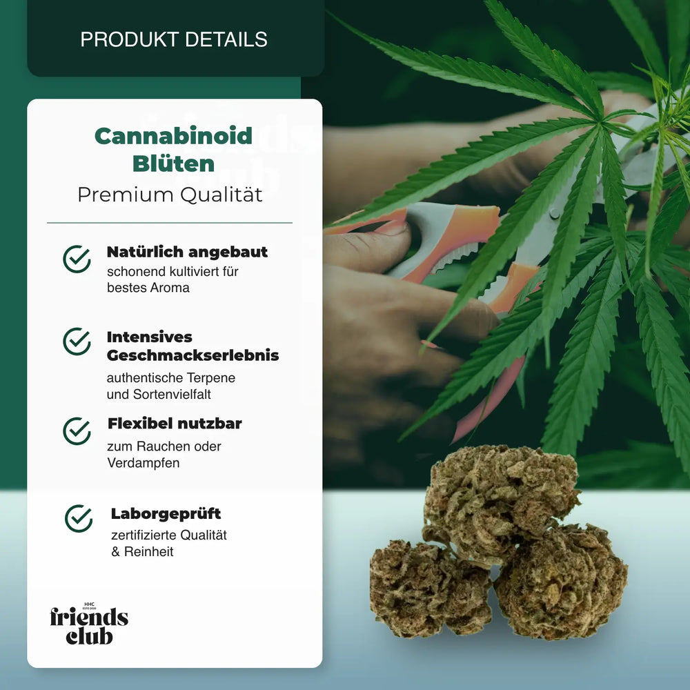 C9 Flori Sour Diesel 40% - hhcfriends