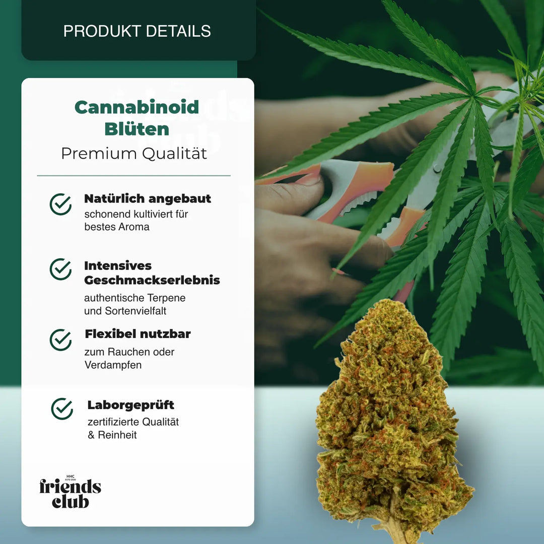 PHC Bloemen Gelato #45 - hhcfriends