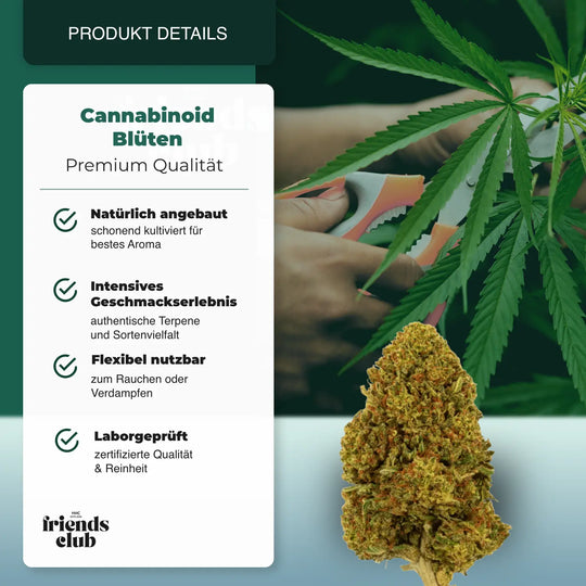 PHC Bloemen Gelato #45 - hhcfriends