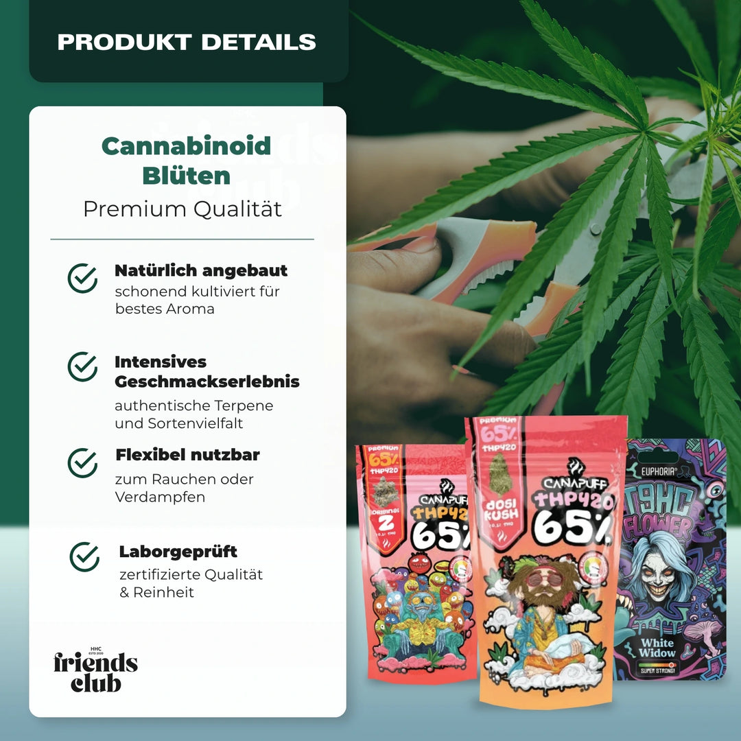 Zomer Bundel-Smagro GmbH