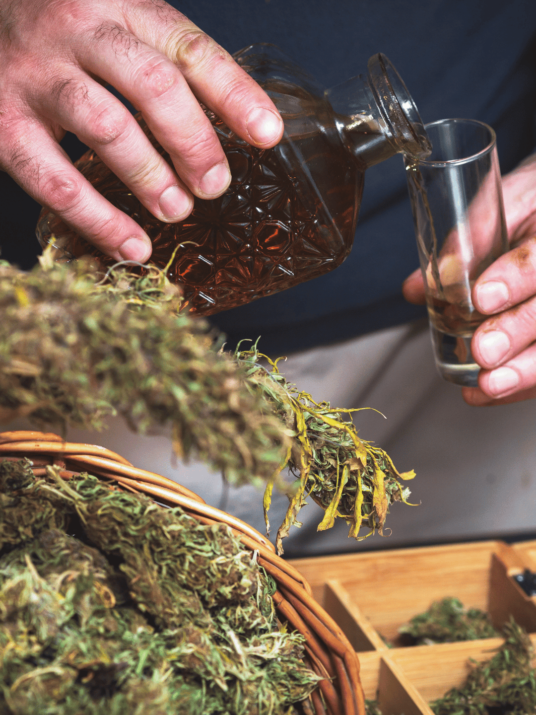 valaki, aki kannabisz likőrt tölt magának, az előtérben kannabisz virágok
