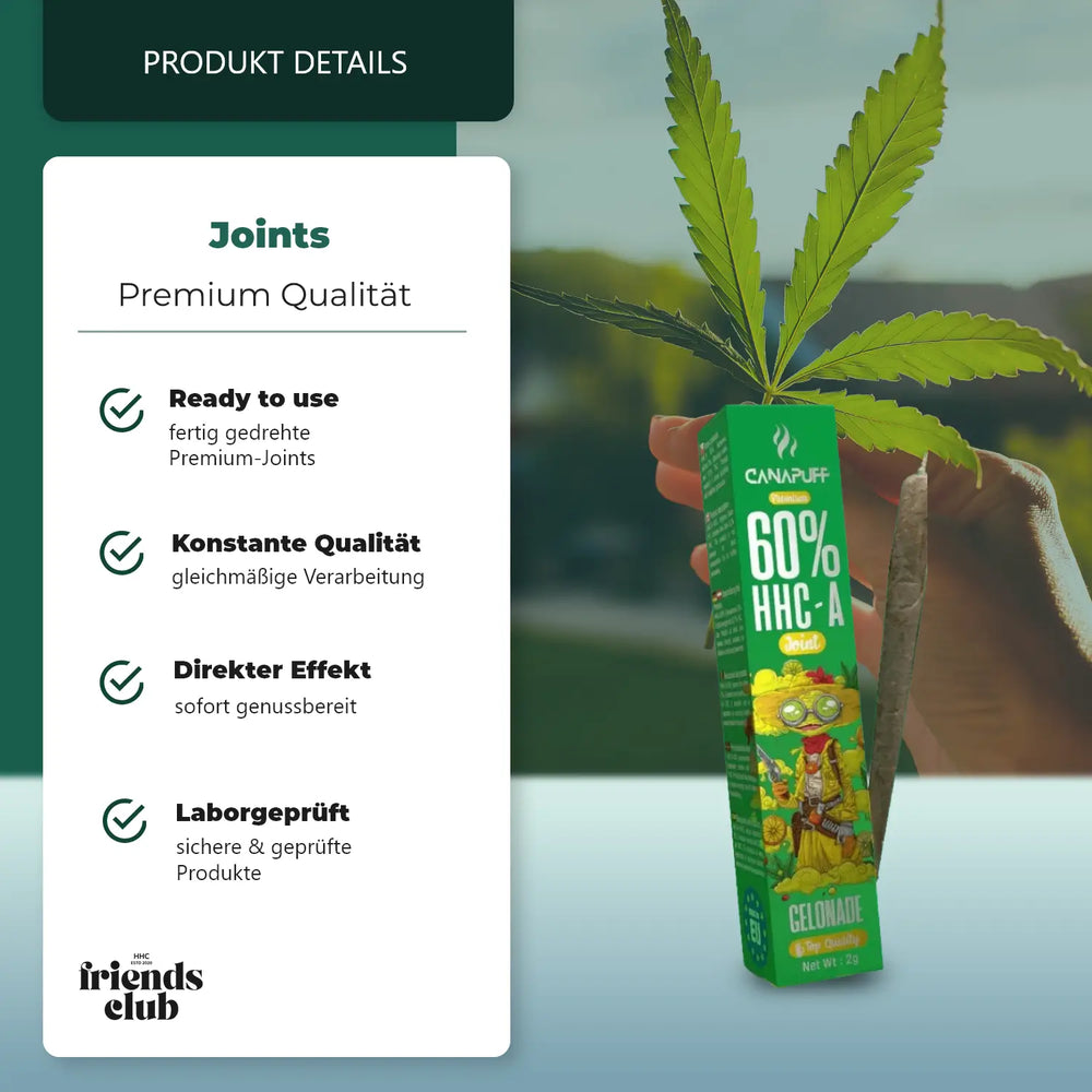 HHC-A Joint Gelonade 60% 2g-Smagro GmbH