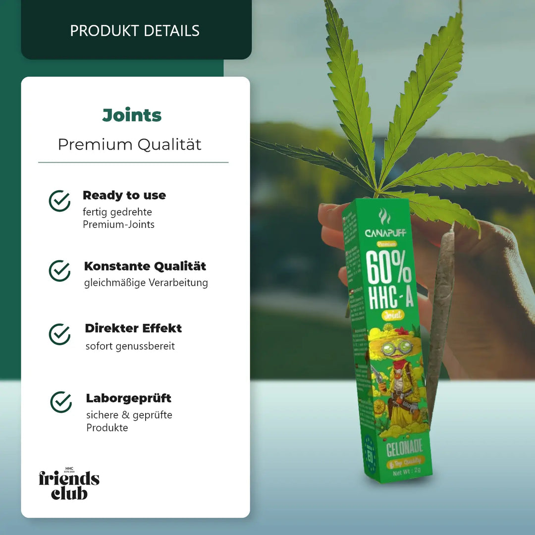 HHC-A Joint Gelonade 60% 2g-Smagro GmbH