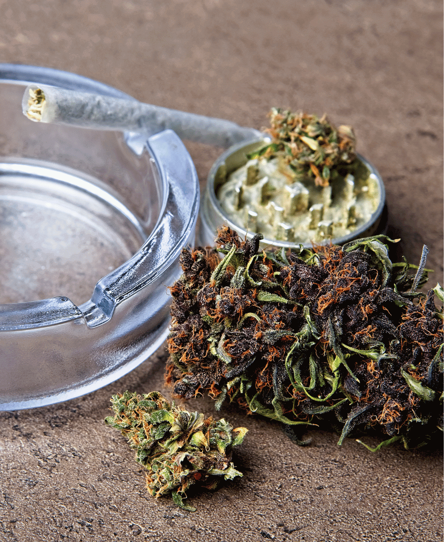 Charro no cinzeiro, ao lado Flor de Cannabis e grinder