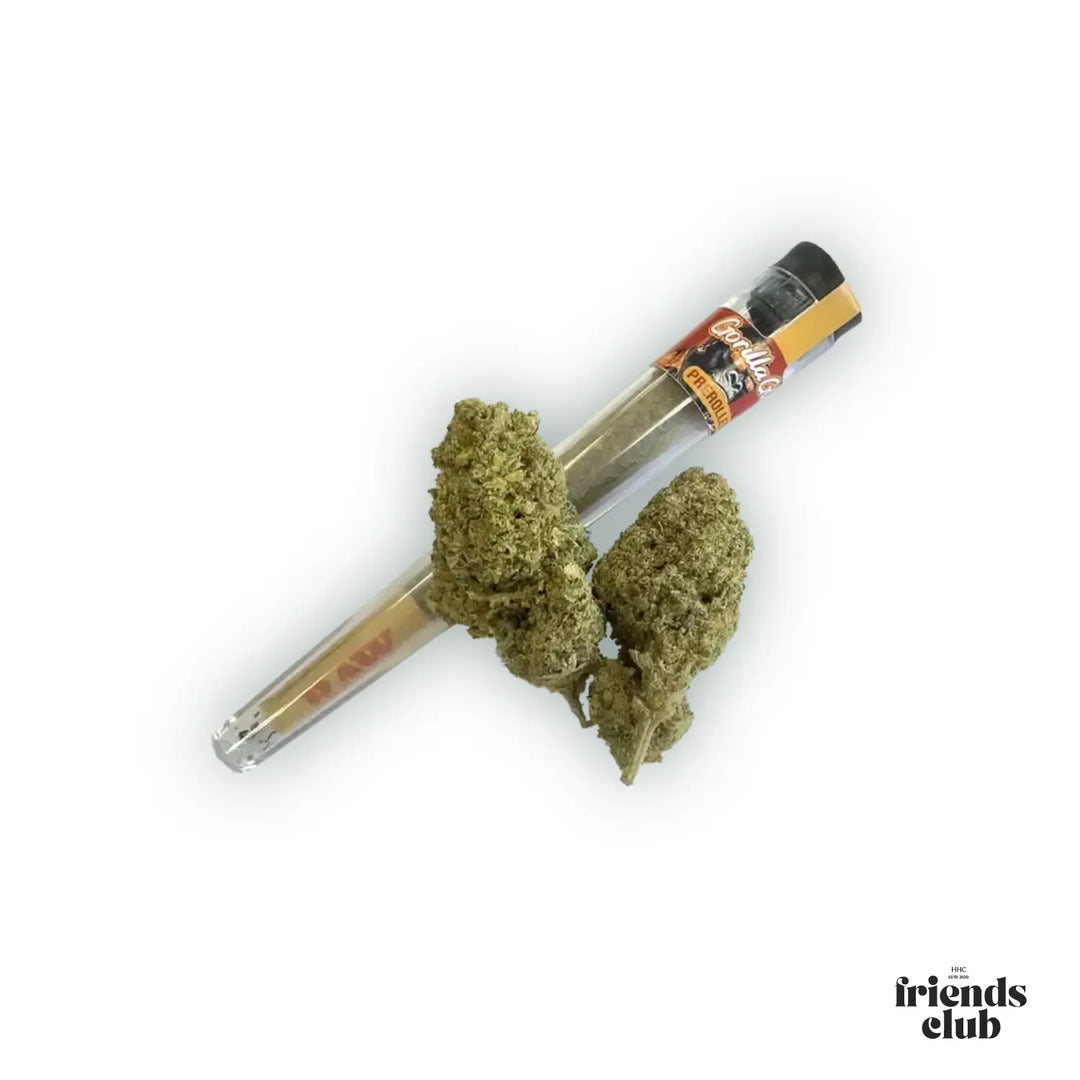 Prerollé HHZ 40 % – Gorilla Glue-Smagro GmbH