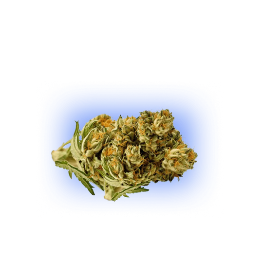 CBD Bloem Pineapple Haze THC Bajo