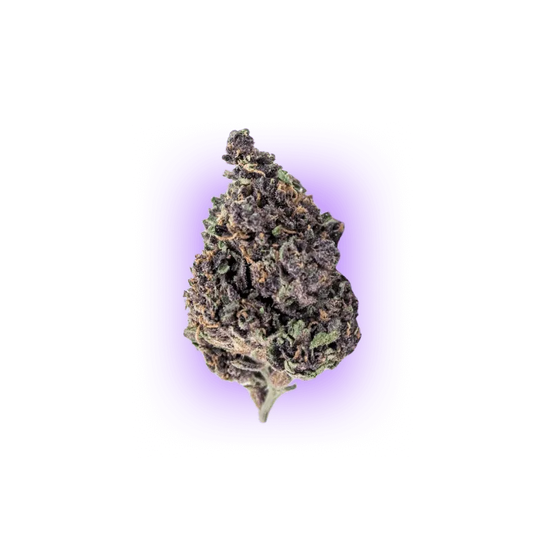 Cali Genetics Purple Milkshake 32.6% THC 🌱 3 seeds