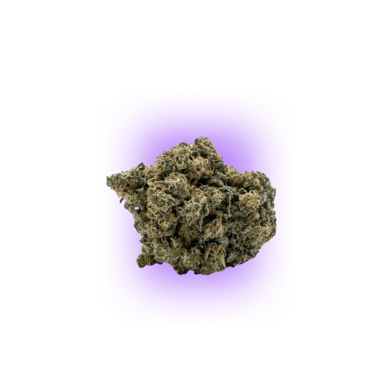 Cali Genetics Chocolate Mint OG 21,3% THC 🌱 Auto Fleurissante | 3 graines