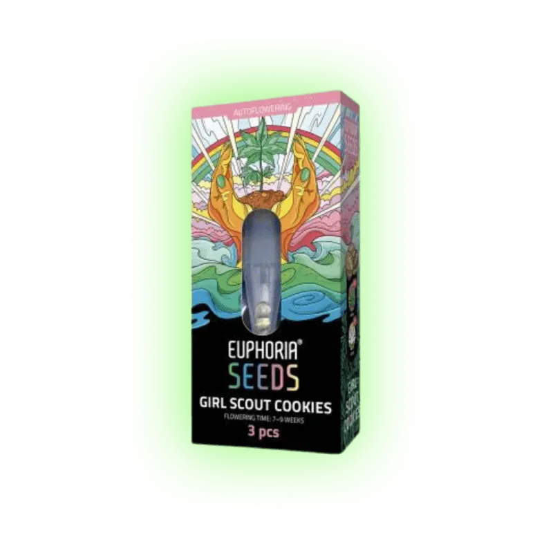 Graines de Cannabis Girl Scout Cookies auto. 3 pcs