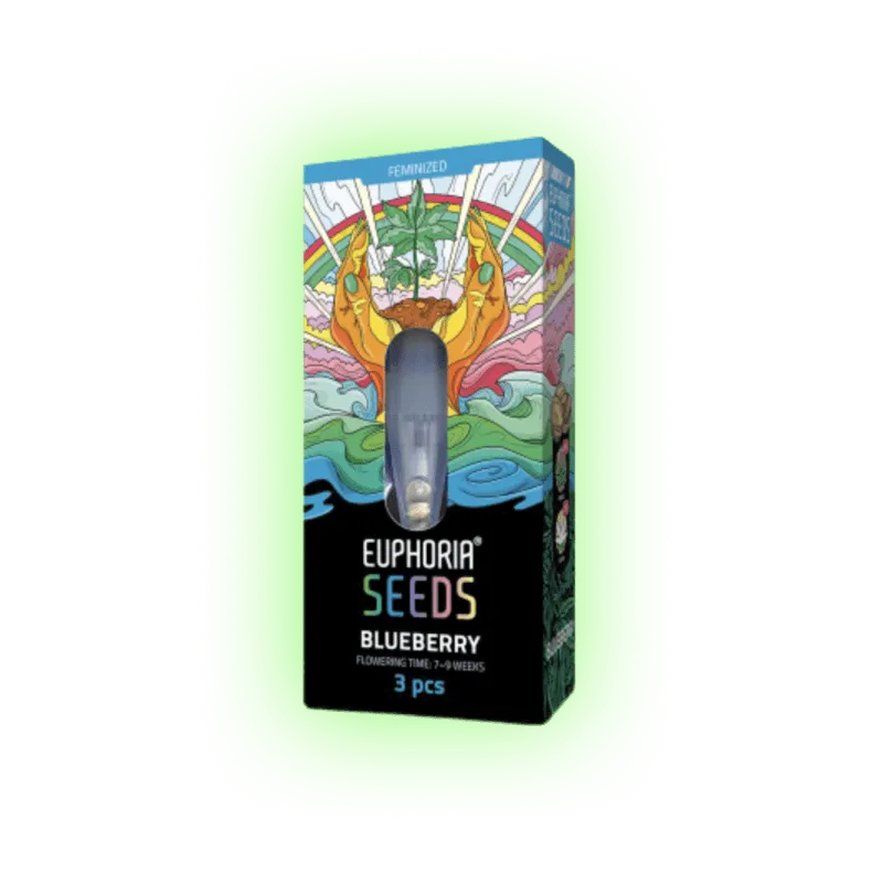 Graines de Cannabis Blueberry 3 pcs