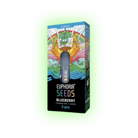 Cannabis Seeds Blueberry 3 pieces