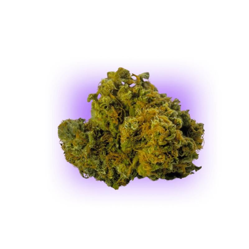 Sementes de Cannabis AK47 auto. 3 unidades